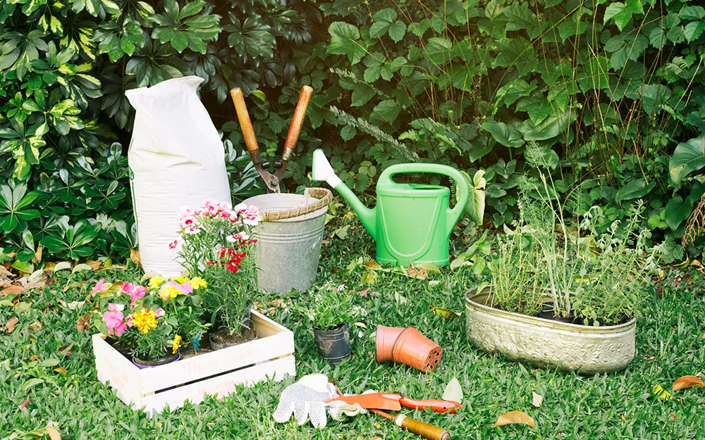 Kreisverband der Kleingärtner Wolmirstedt e.V.